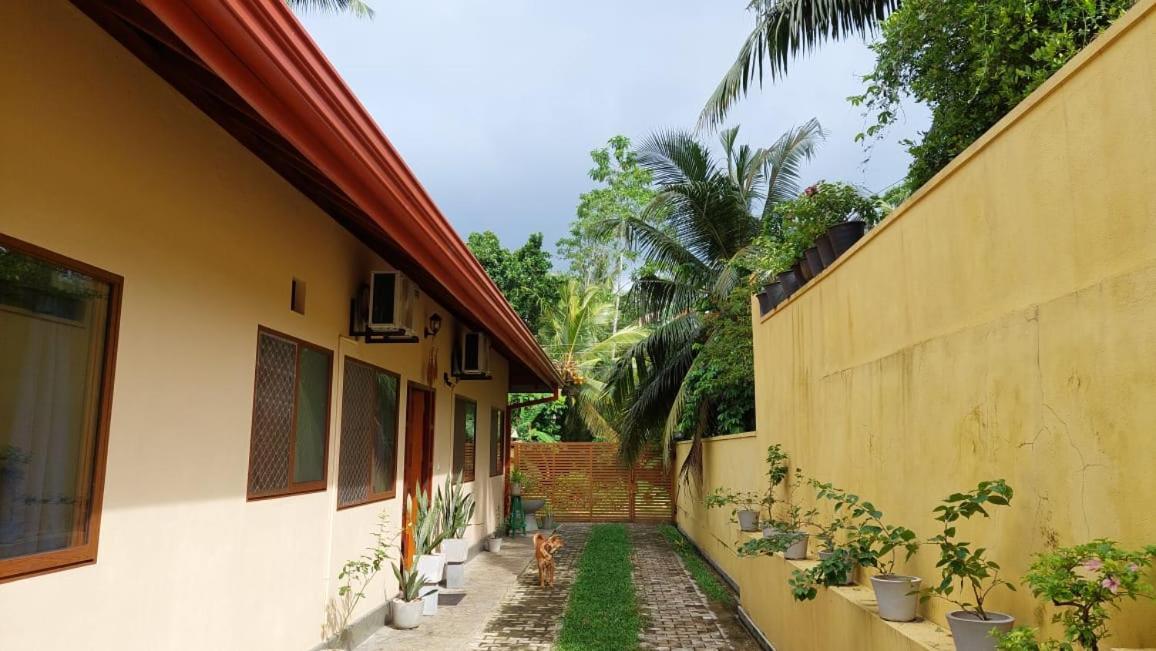El-Nivasa Villa In Weligama Eksteriør billede